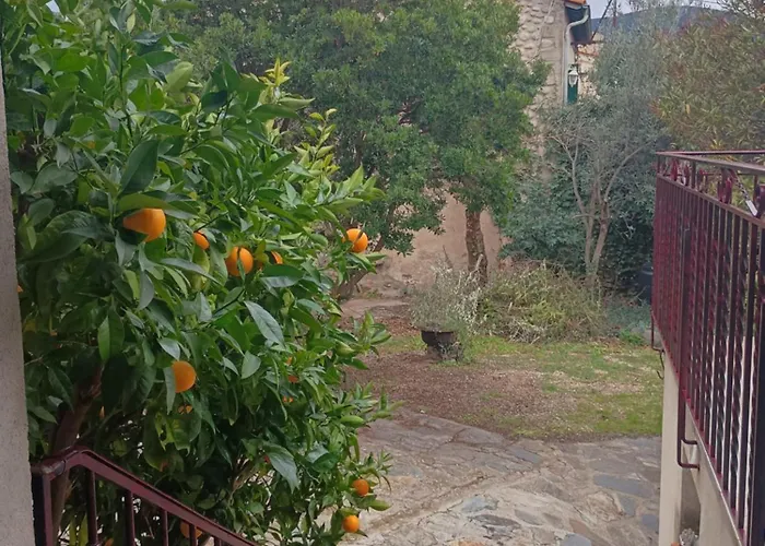 La Catalane Casa de Férias Codalet